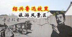 性草比视频中国绍兴-鲁迅故里旅游风景区